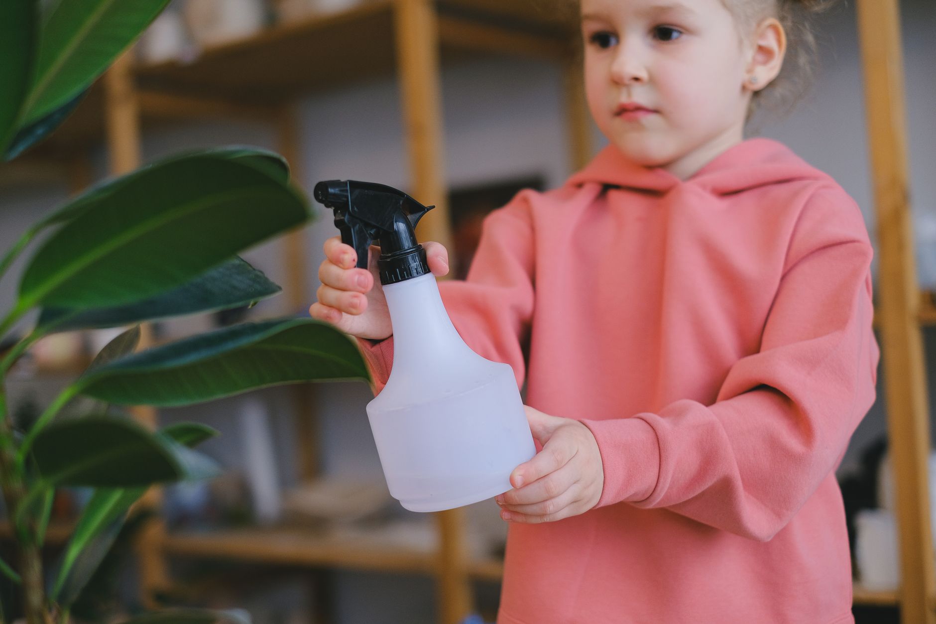 Pest Control service in McAllen, TX