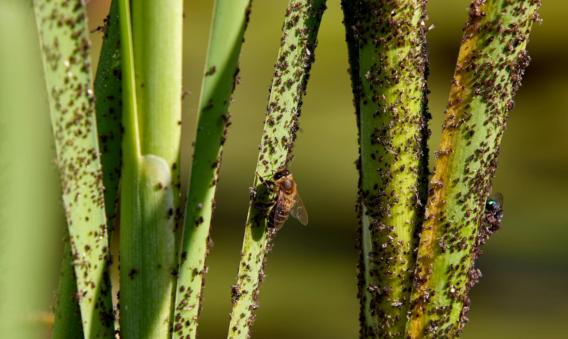 D & G Exterminating — pest control in Cincinnati, OH