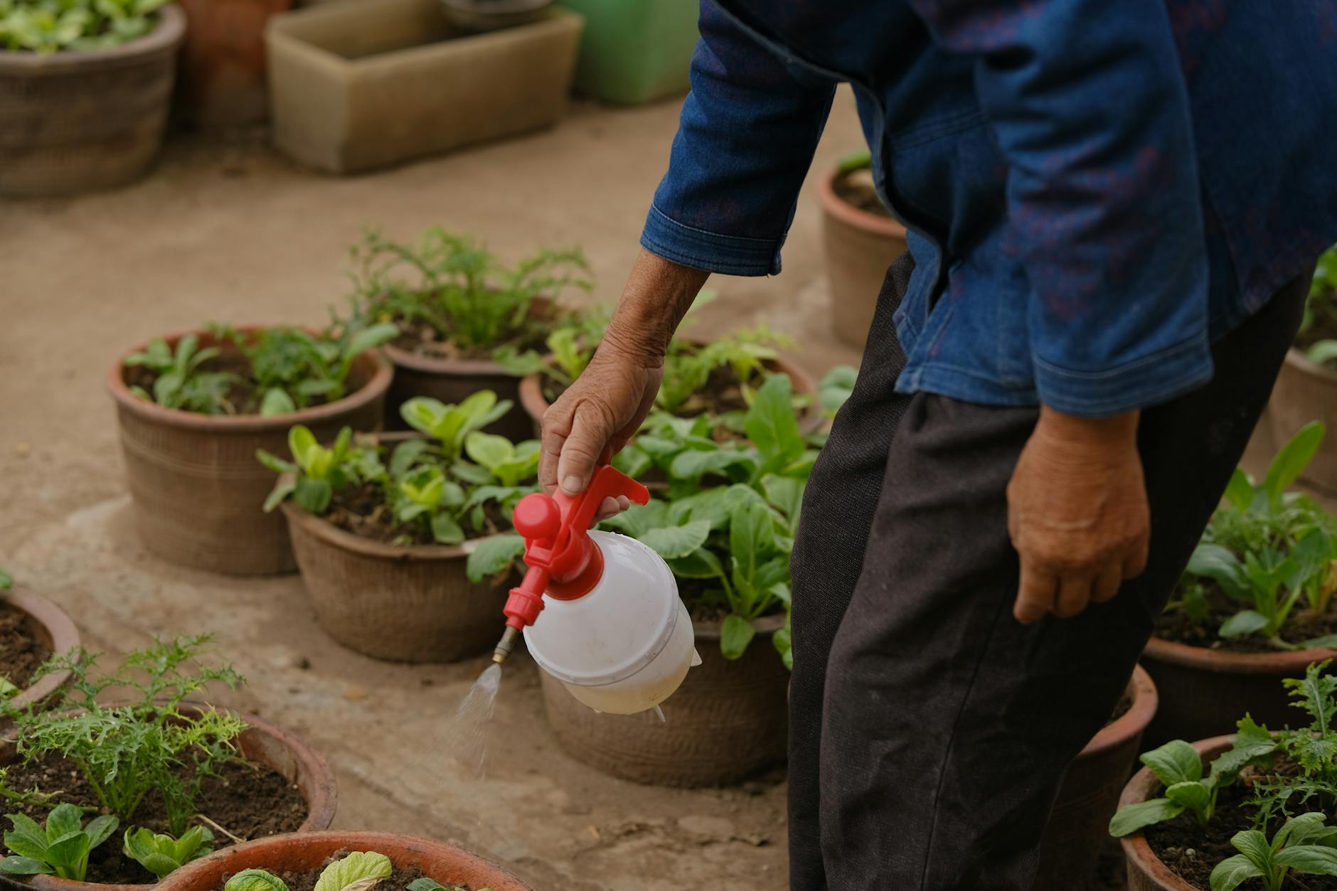Baraboo Pest Control solutions LLC — pest control in Chicago, IL