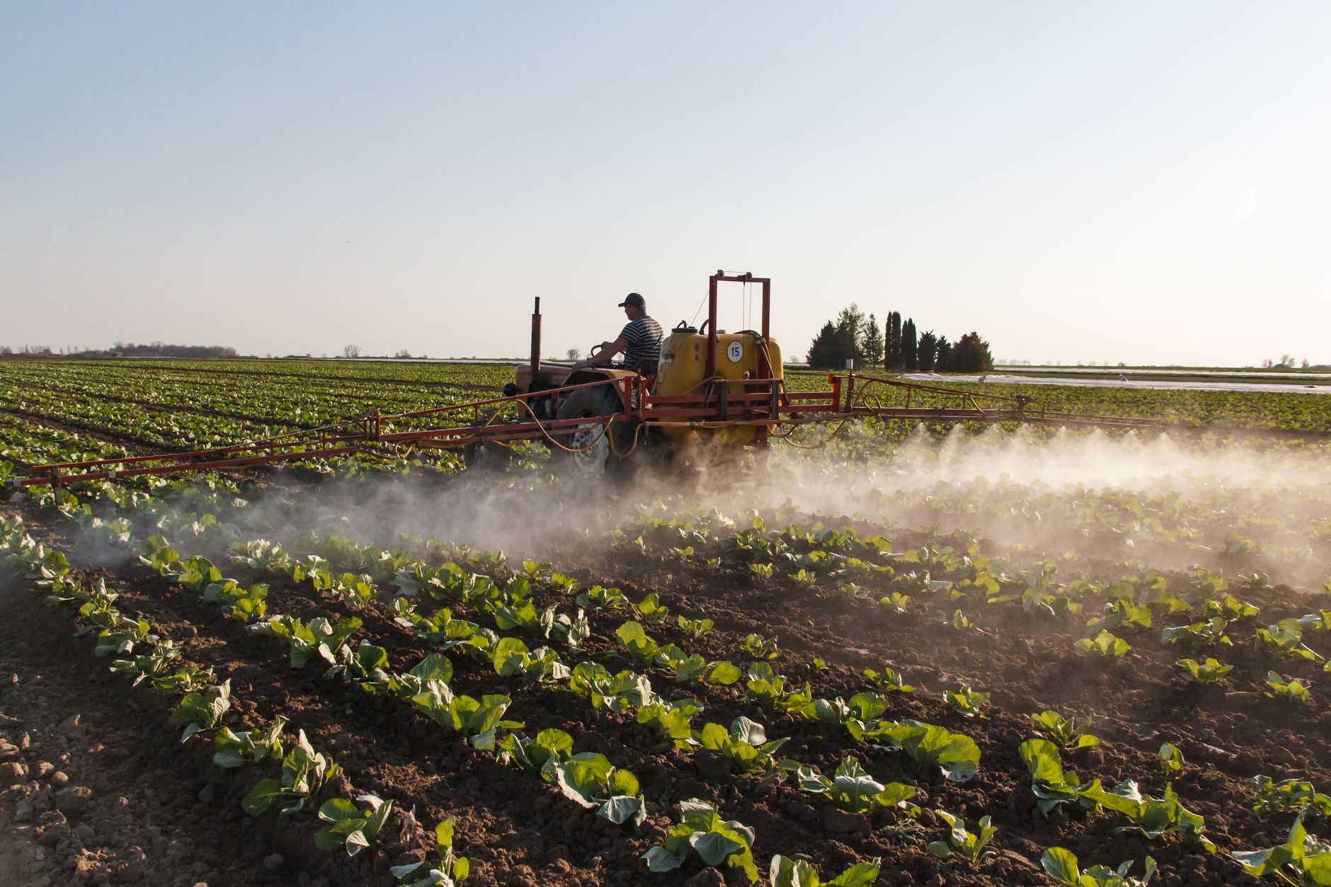 Mosquito control in Fort Mitchell, KY