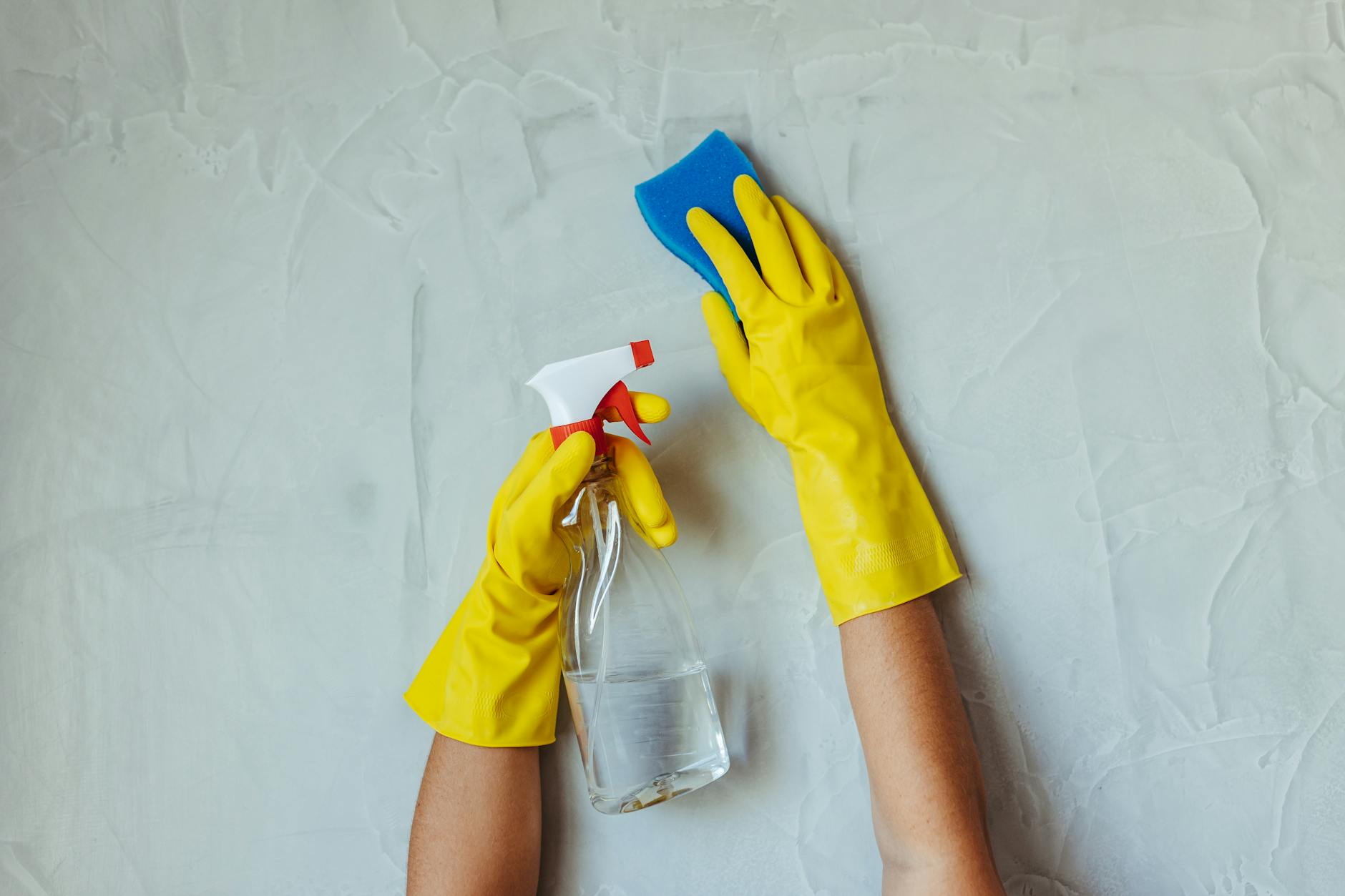 Why-U-Buggin Pest Control — pest control in Danvers, MA