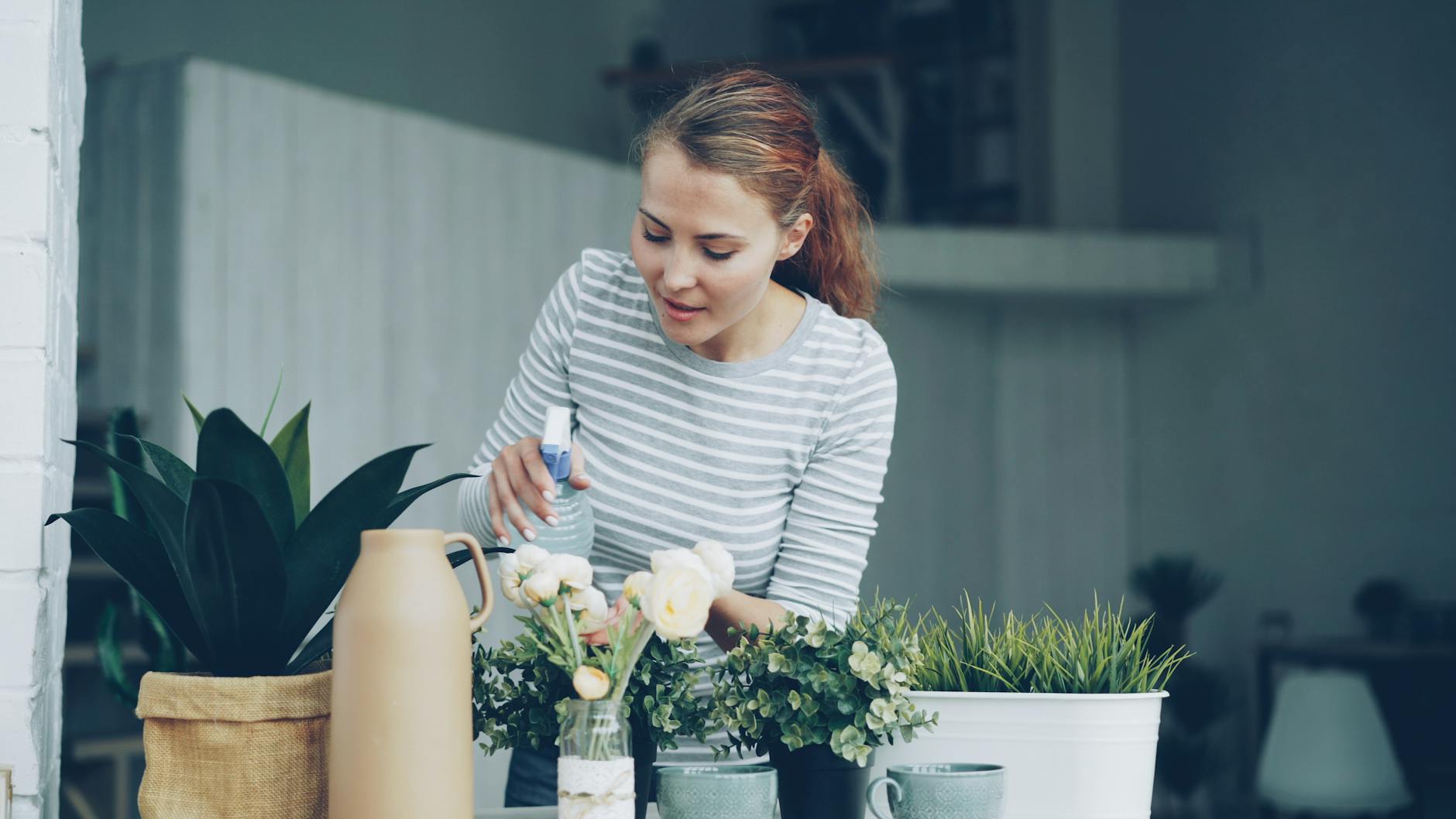 Pest Control service in Utah