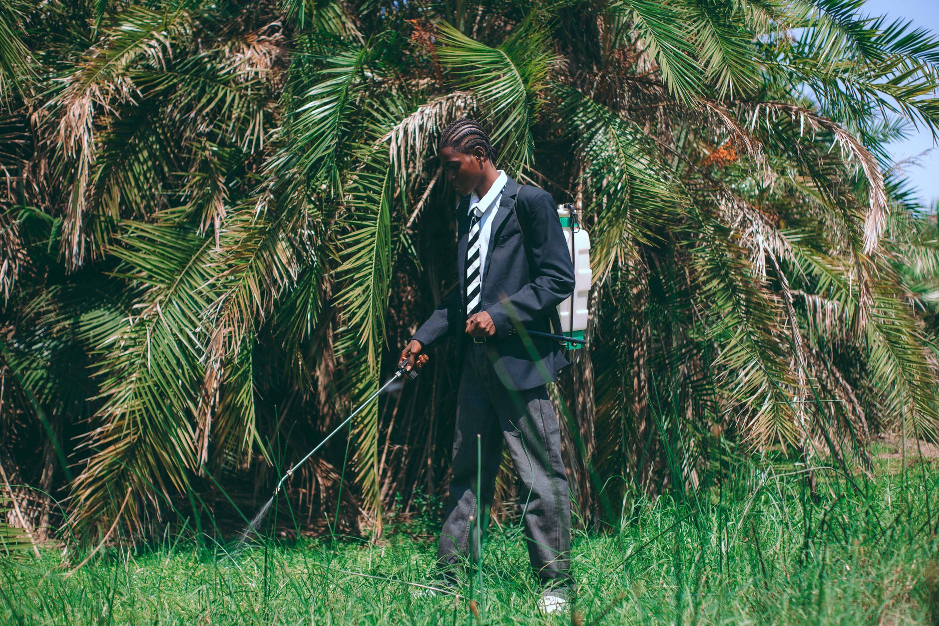 Pest Control service in Summerfield, FL