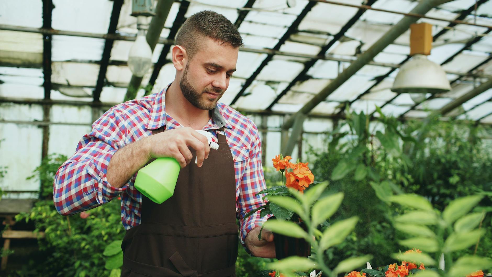 John's Pest Control — pest control in Chapel Hill, NC