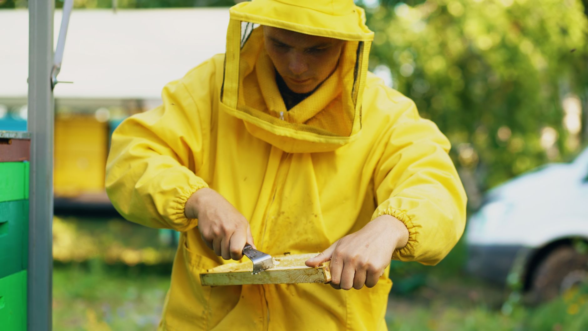 Rodent control in San Juan, TX