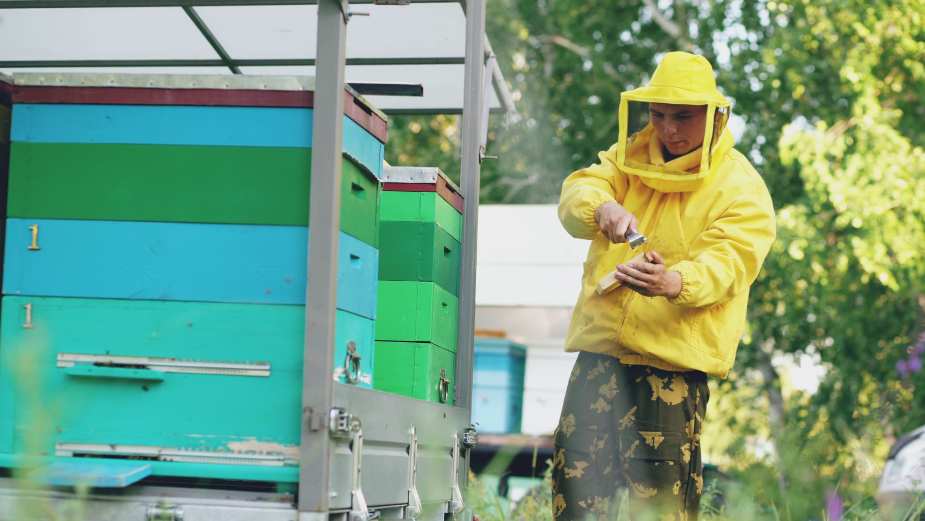 Pest Control service in Southfield, MI