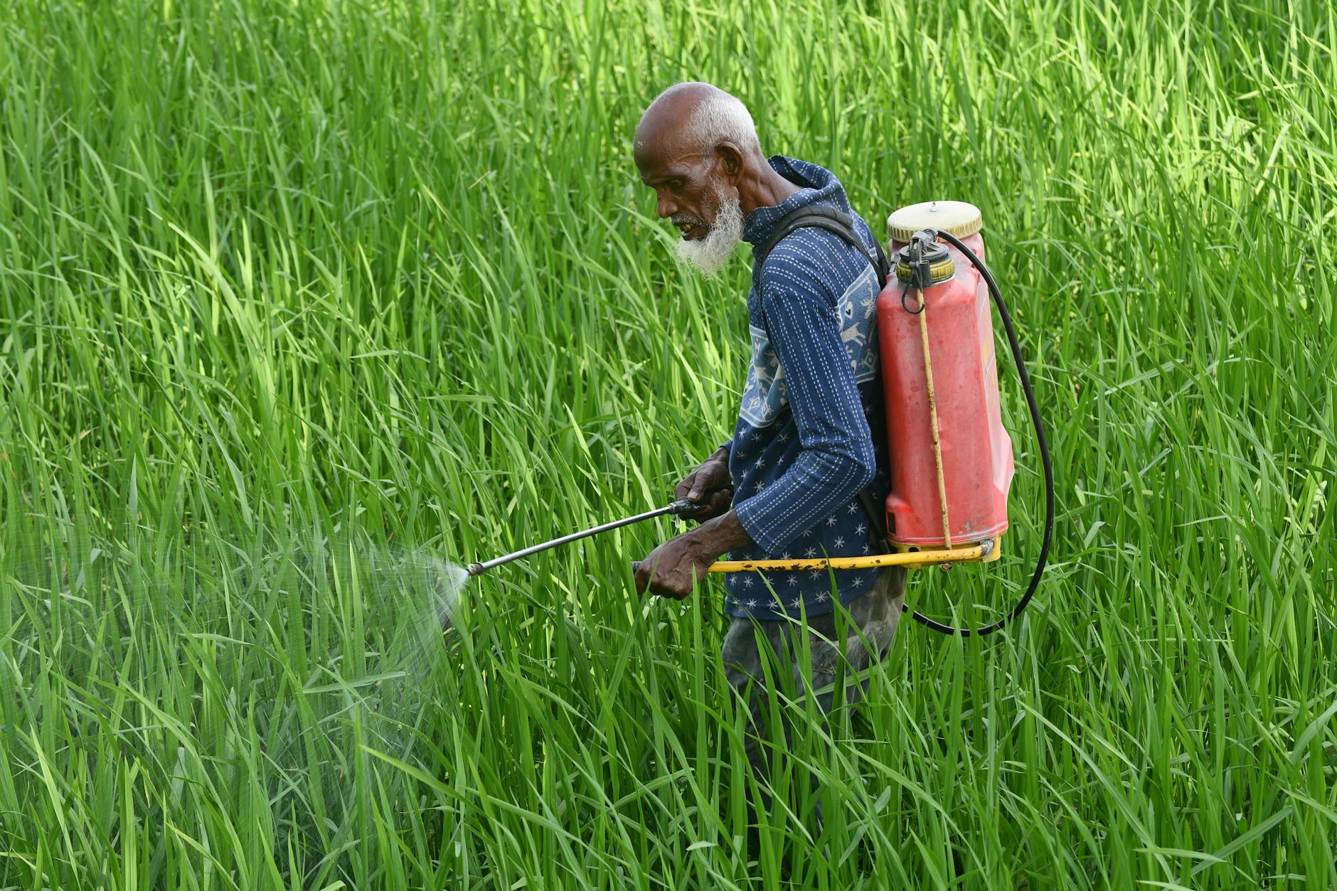 Pest Control service in Birmingham, AL