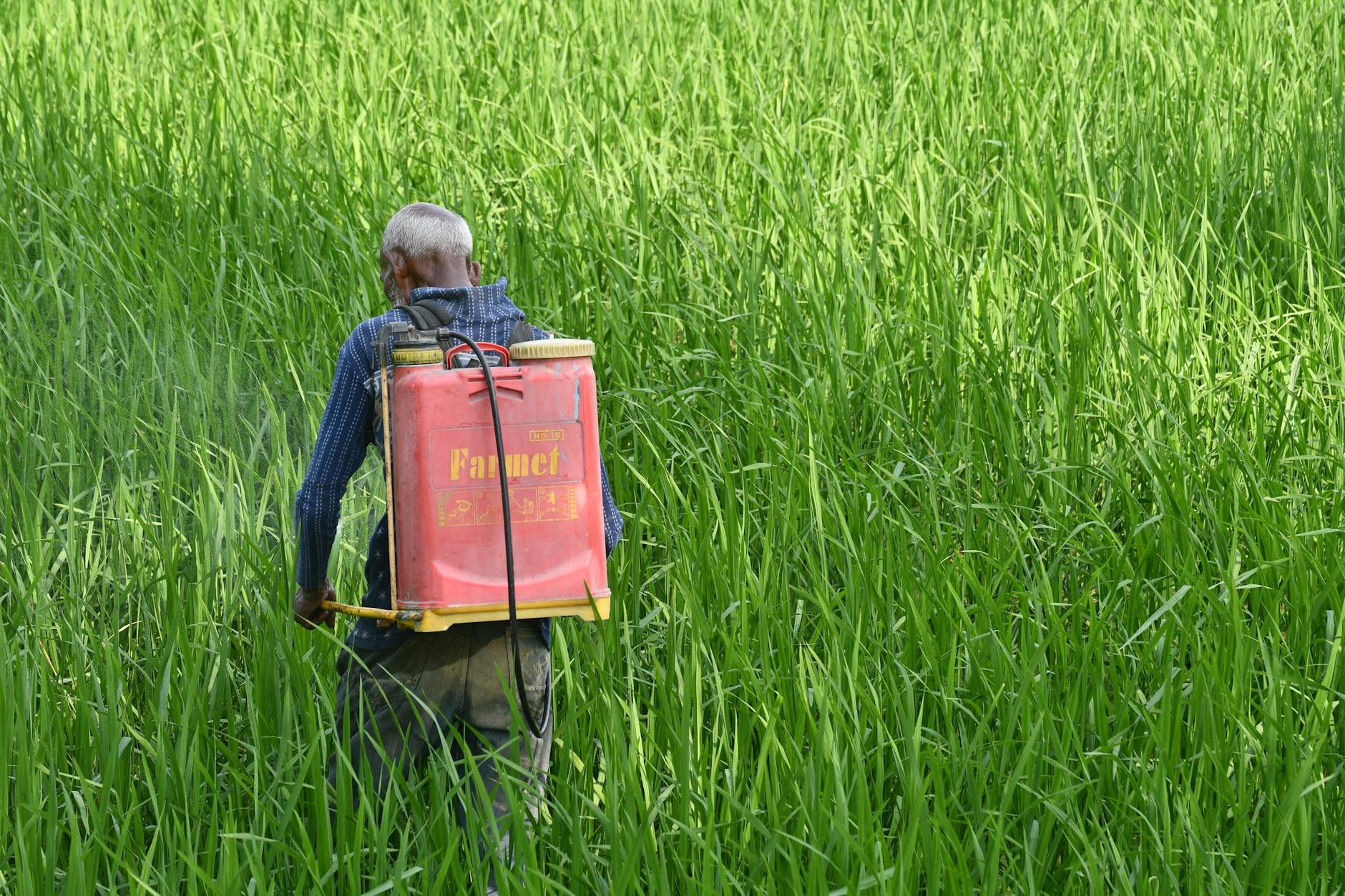 Grace Pest Management, Inc. — pest control in Elk River, MN