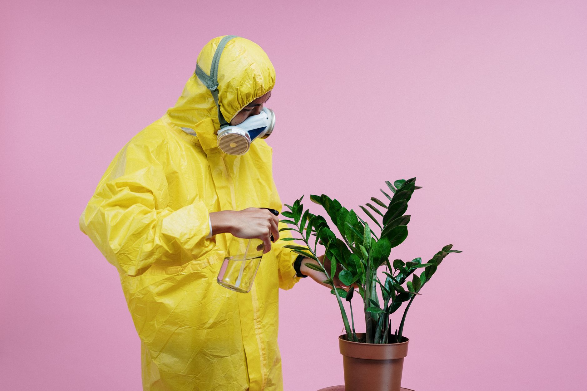 General pest control in Jacksonville, FL