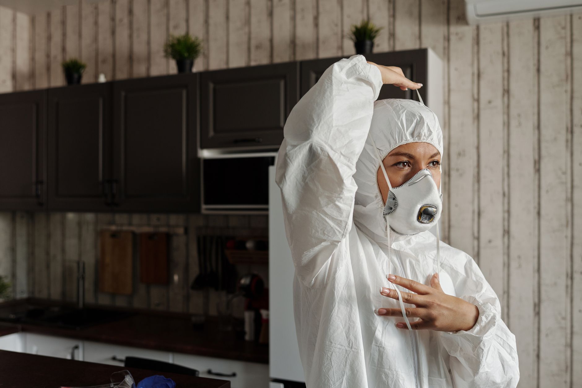 Pest Control service in Austin, TX