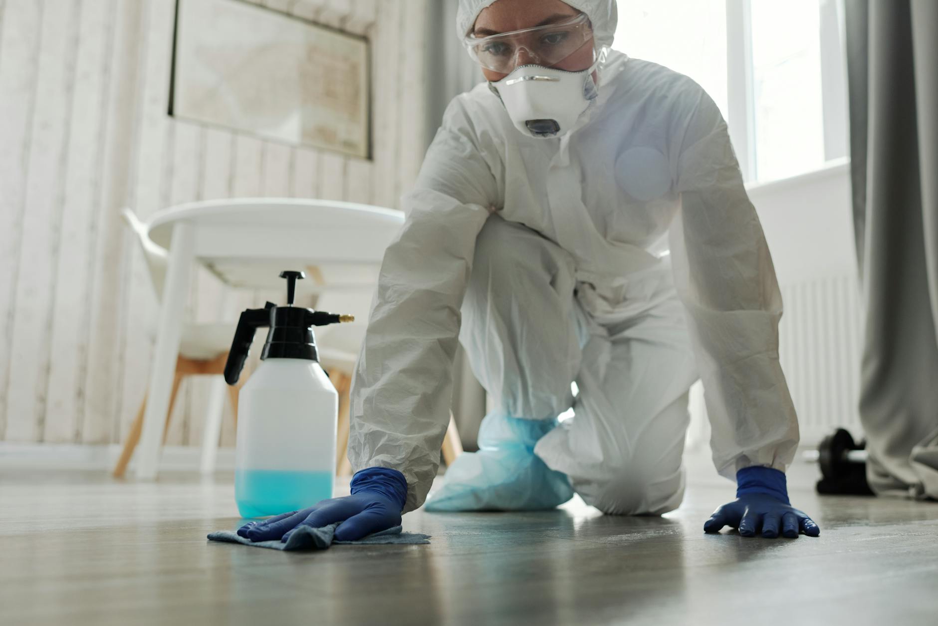 Pest Control service in Pensacola, FL