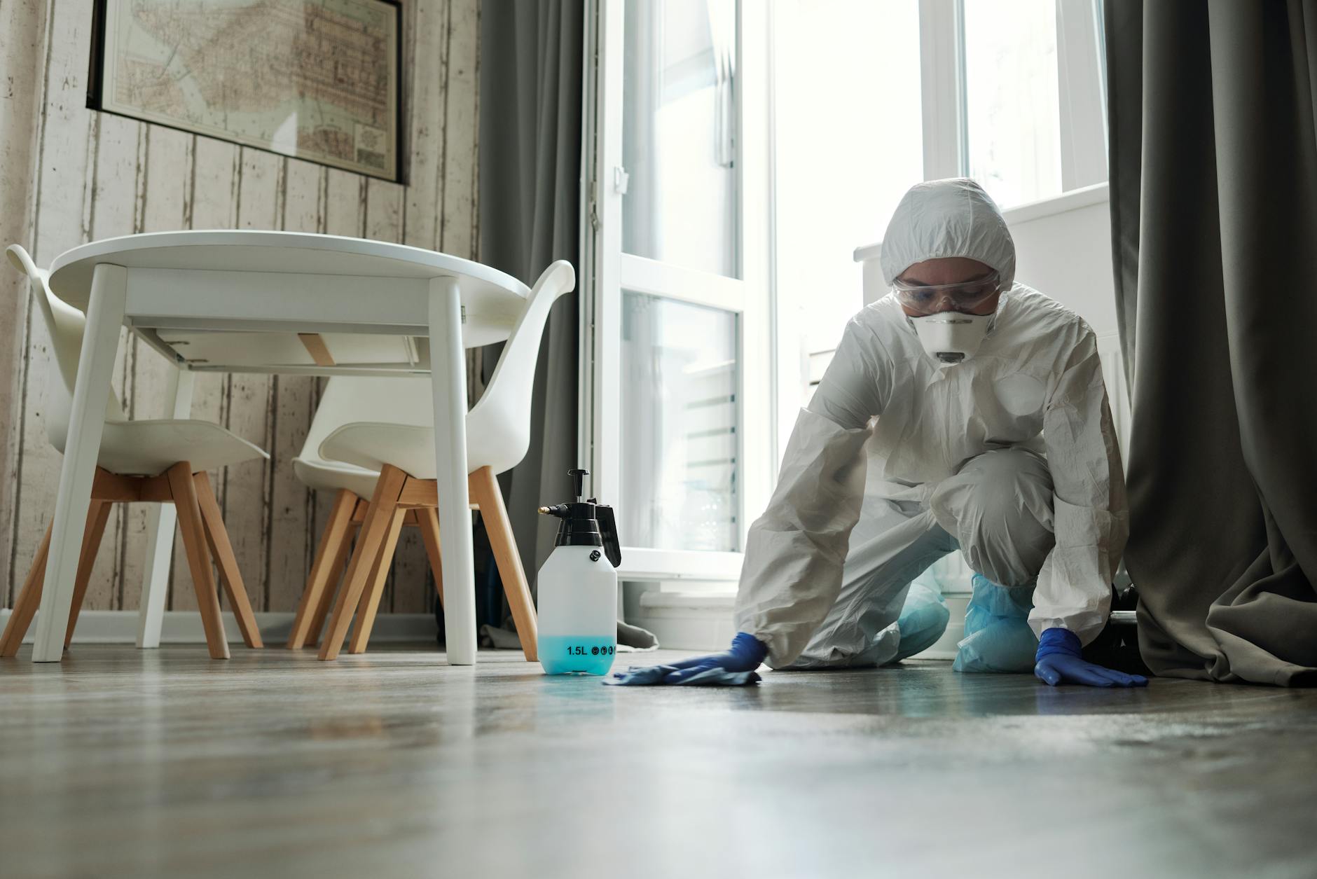Pest Control service in Lima, OH