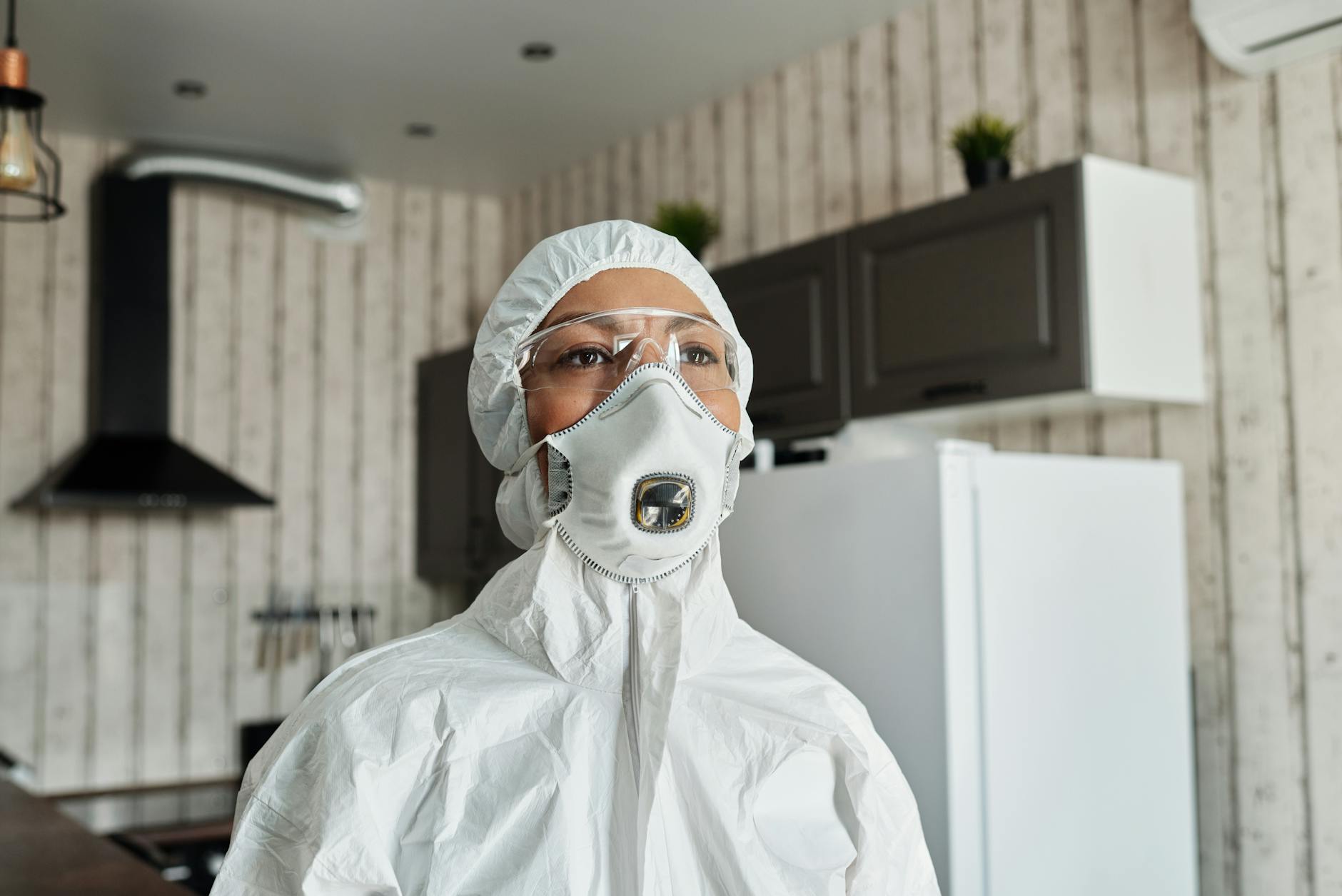 Wildlife removal in Kansas City, MO