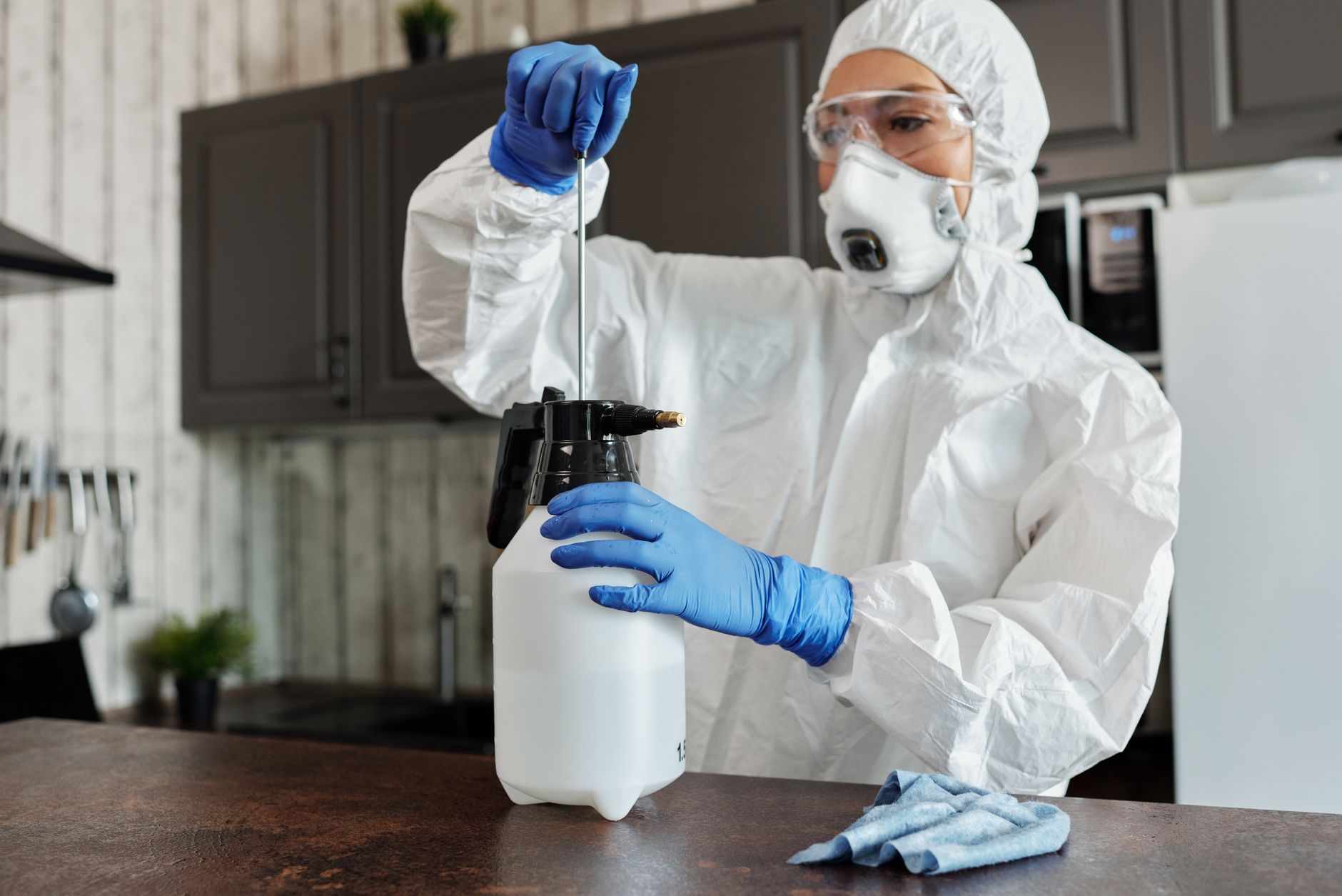 Pest Control service in Doylestown, PA