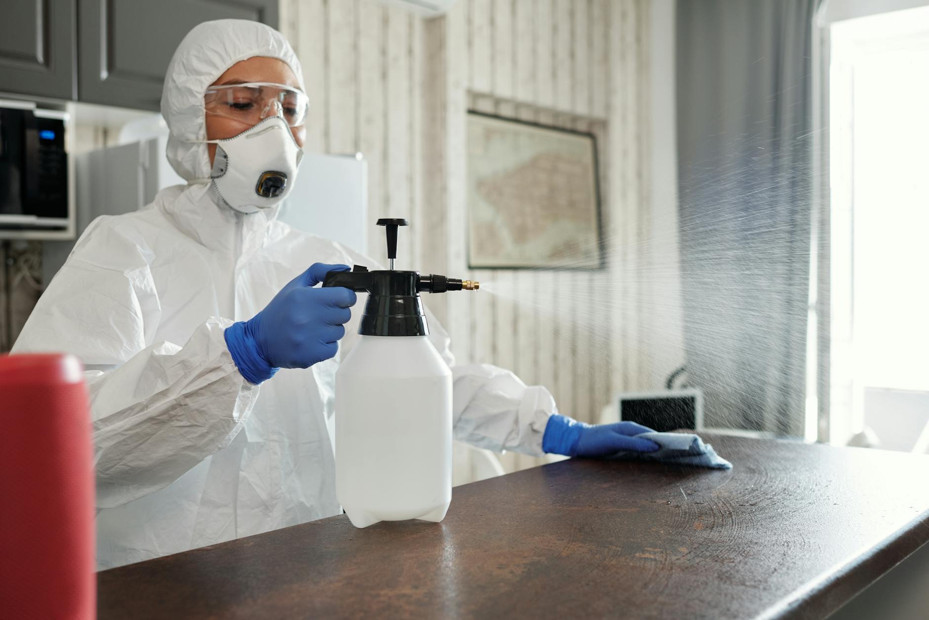 Pest Control service in Chicago, IL