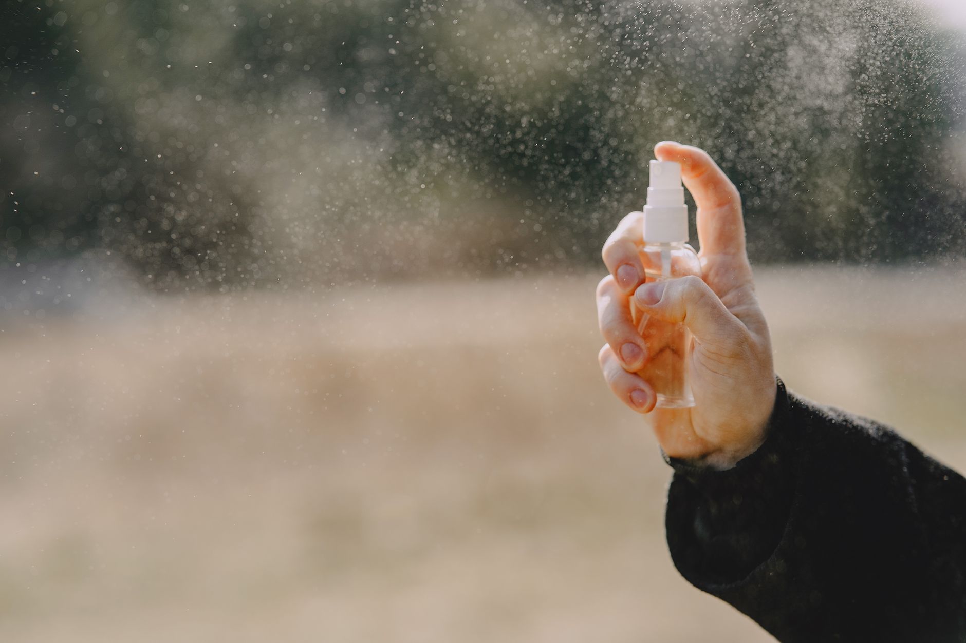 Bugsy's Exterminating Inc — pest control in Elizabeth City, NC