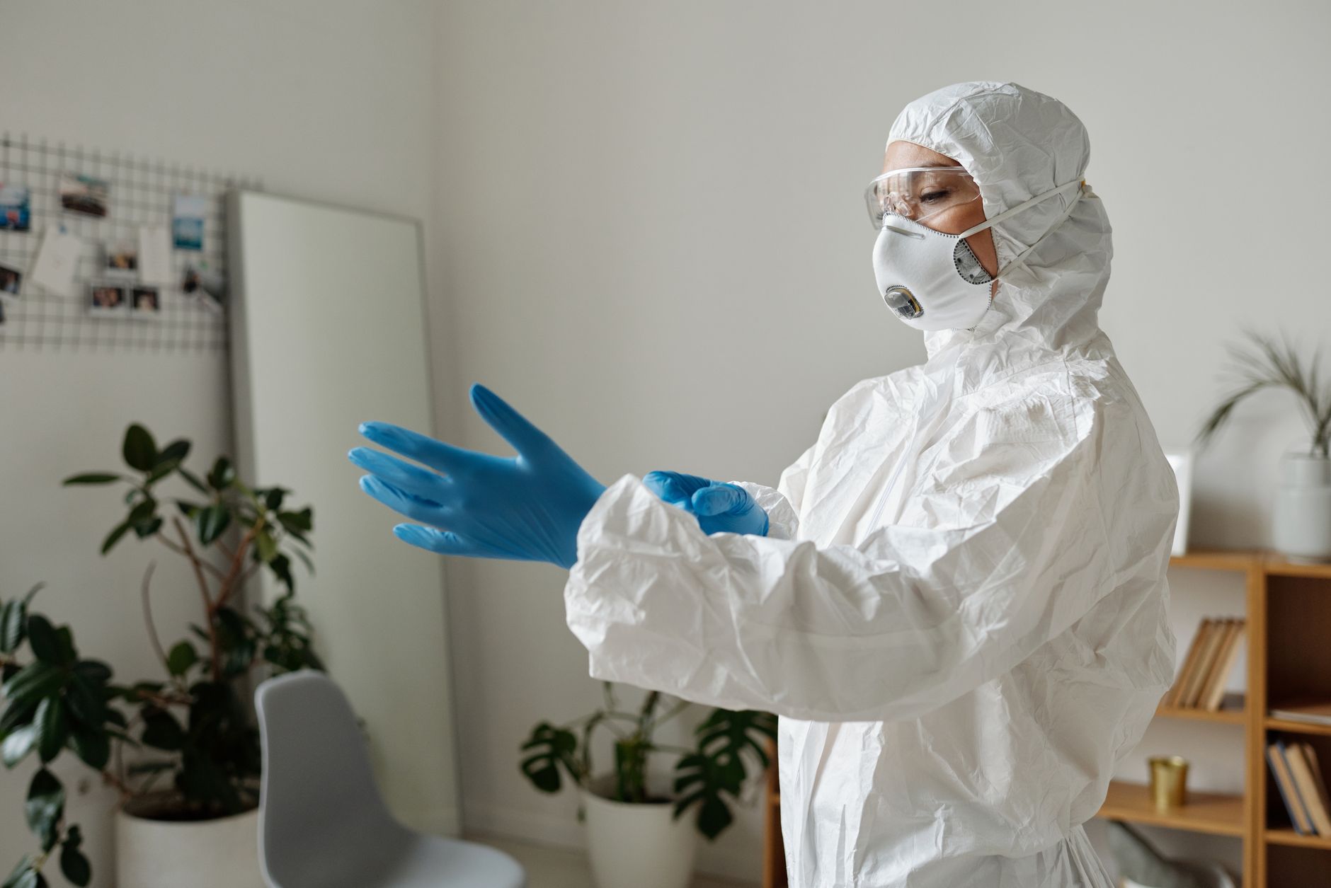 Pest Control service in Madison Heights, MI