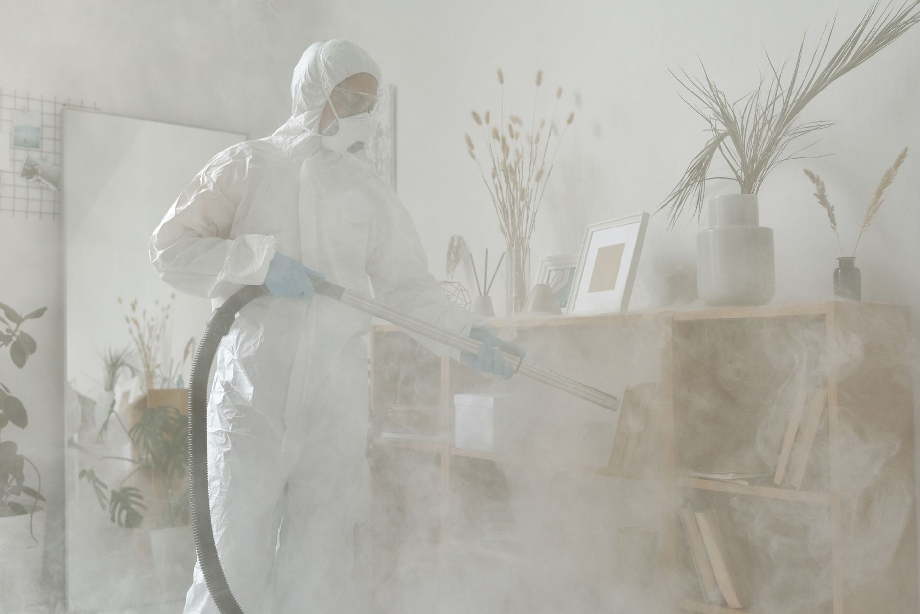 Pest Control service in Overland Park, KS