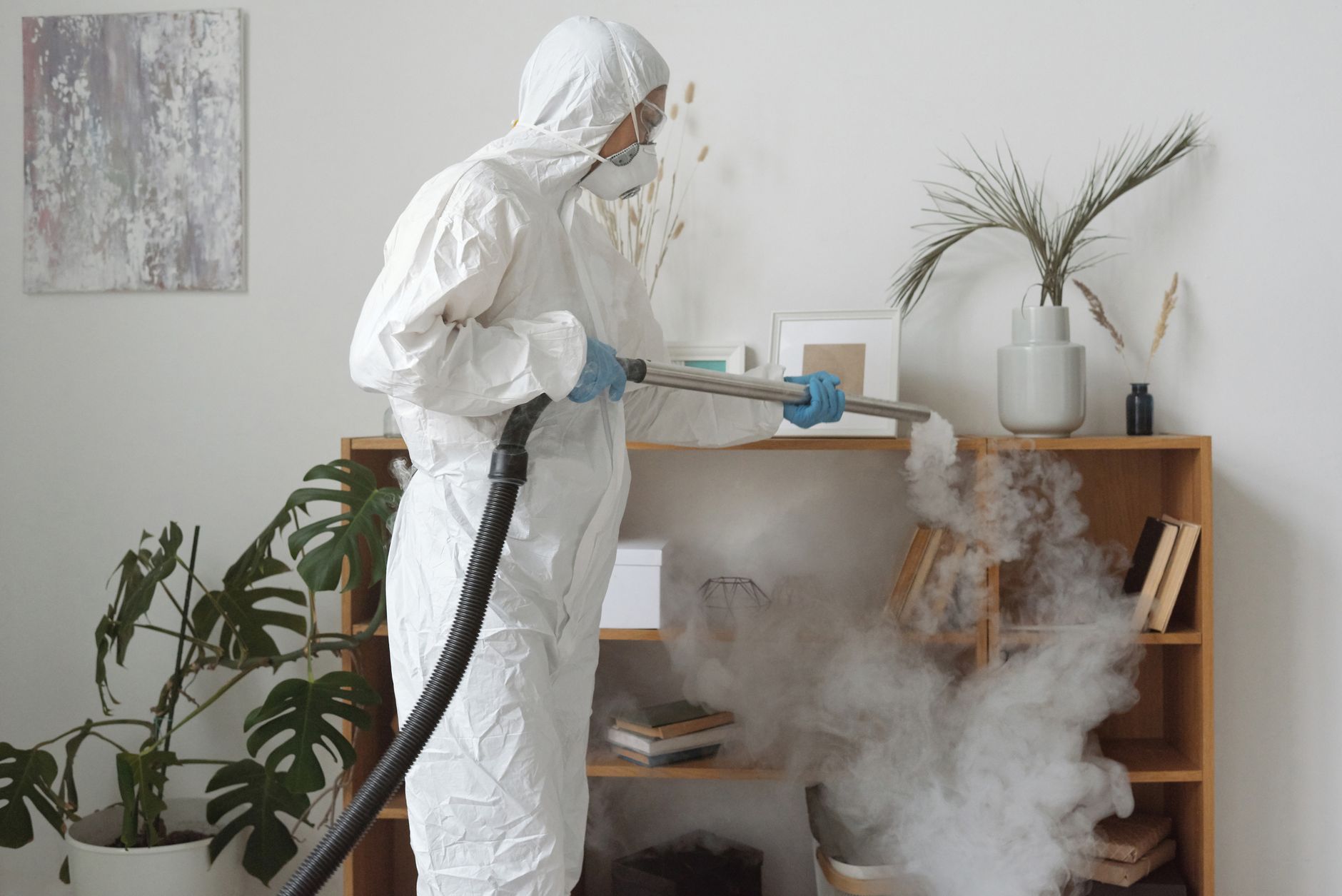 General pest control in Parma, OH