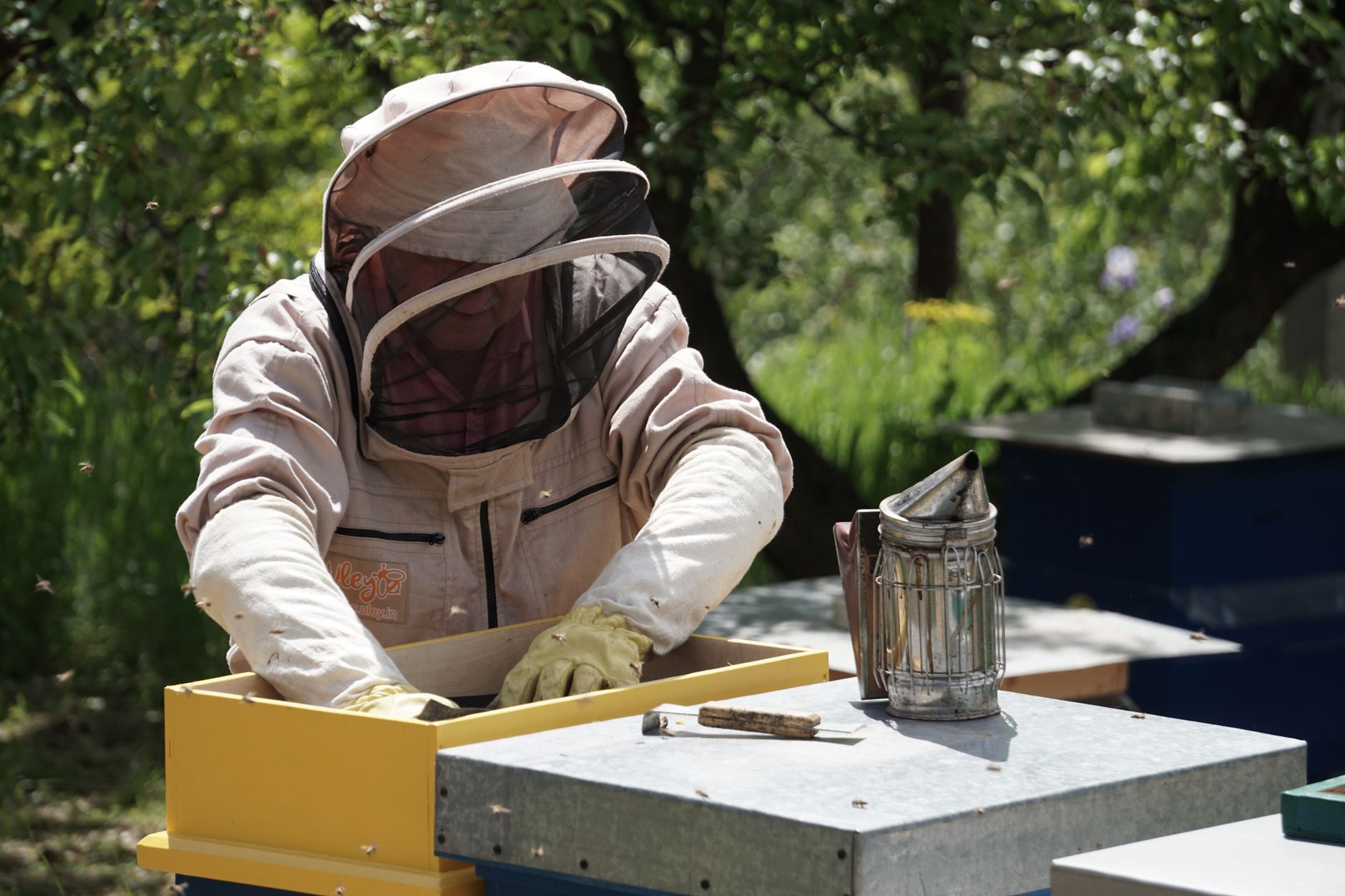 Pest Control service in Painesville, OH