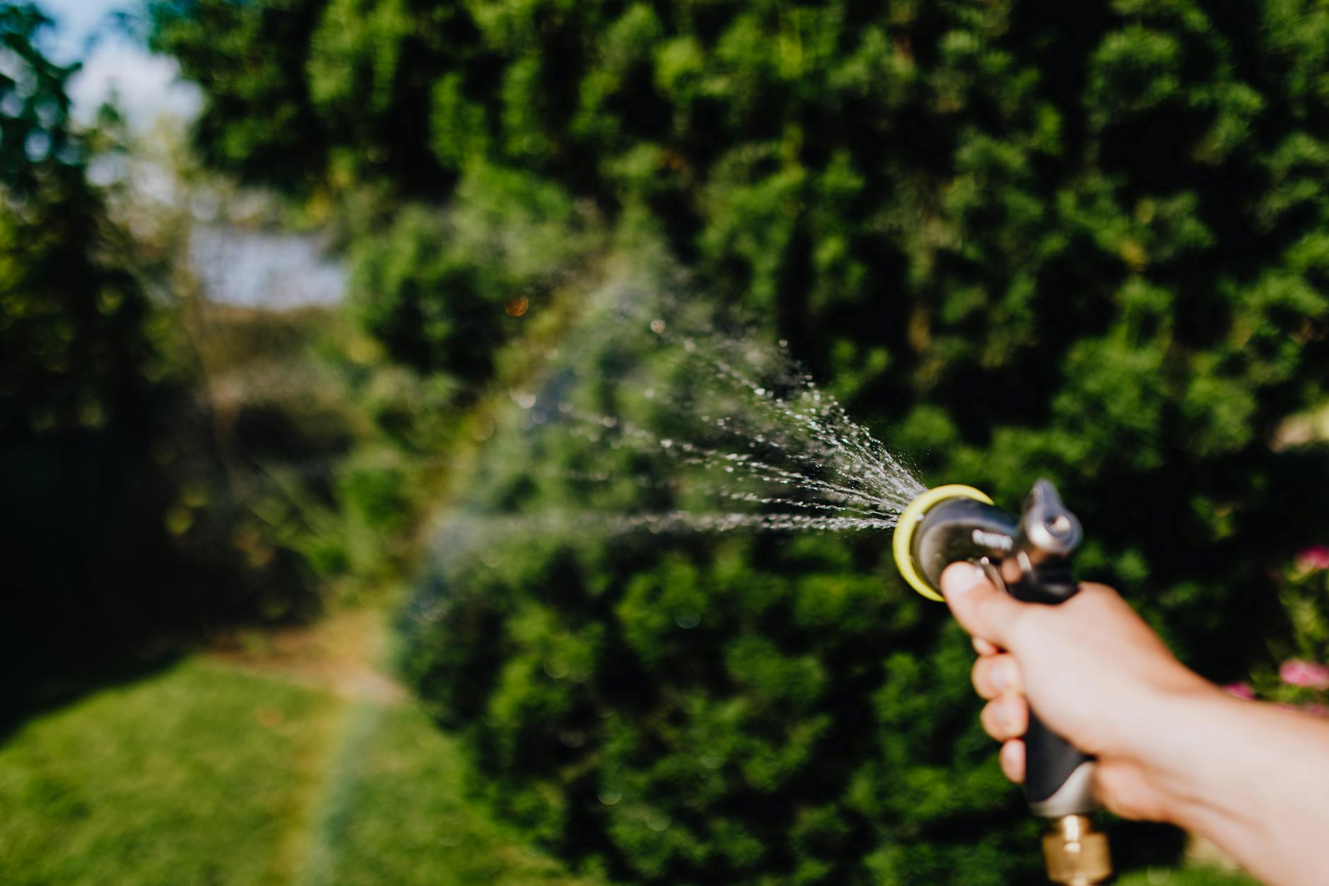 Pest Control service in Overland Park, KS