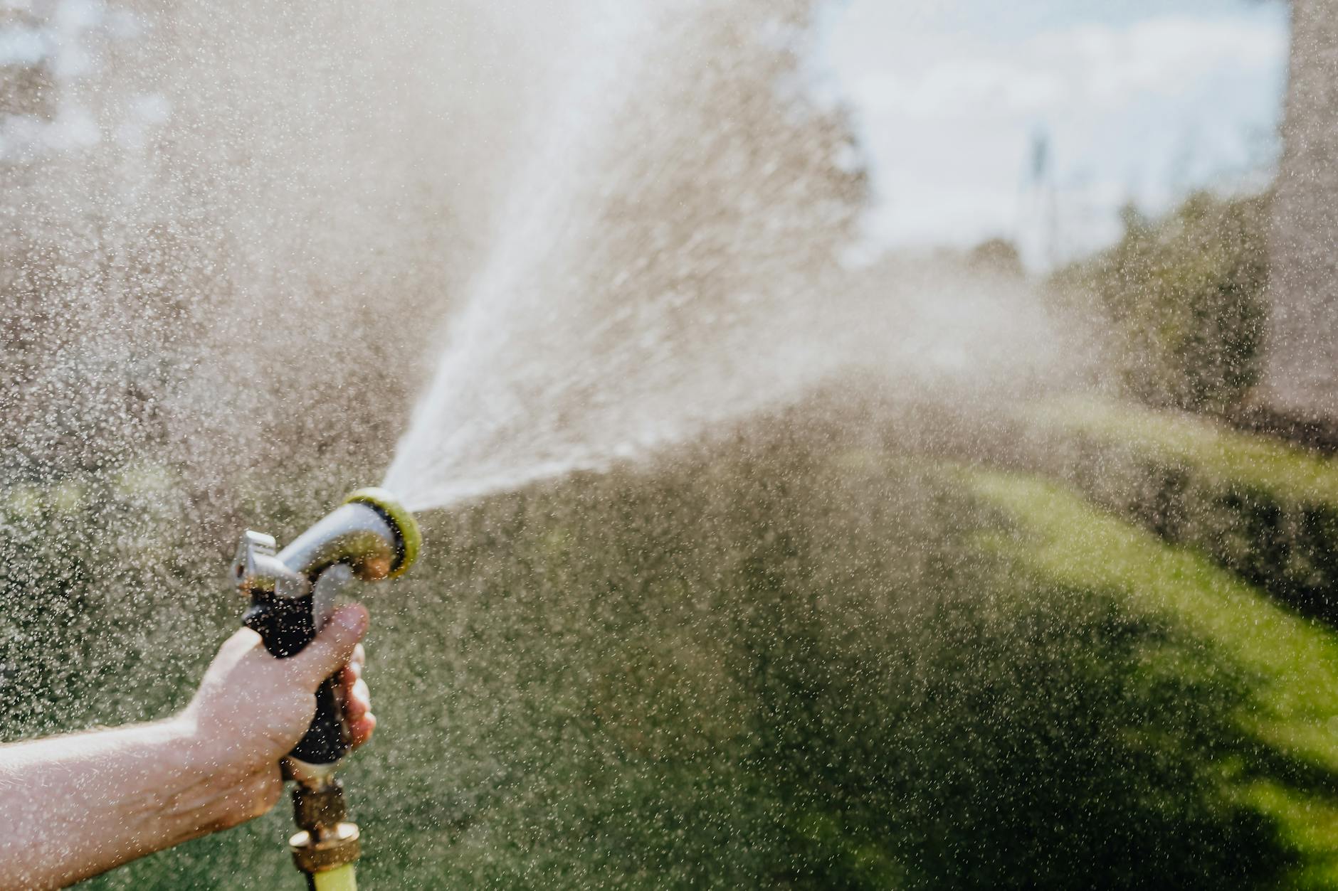 General pest control in Peoria, IL