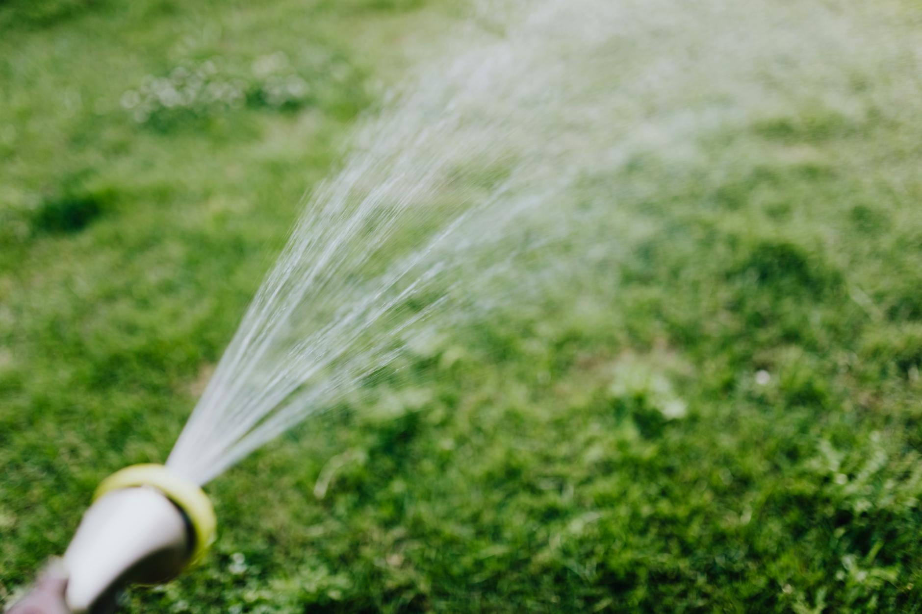 Pest Control service in Harrisonburg, VA