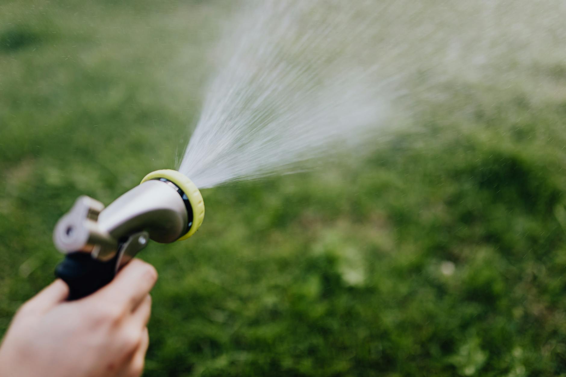 Wildlife removal in Middletown, OH