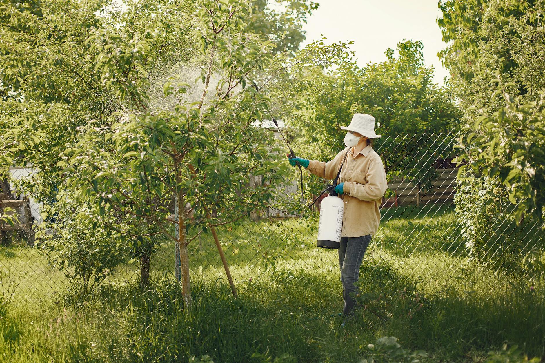 Pest Control service in Maryland