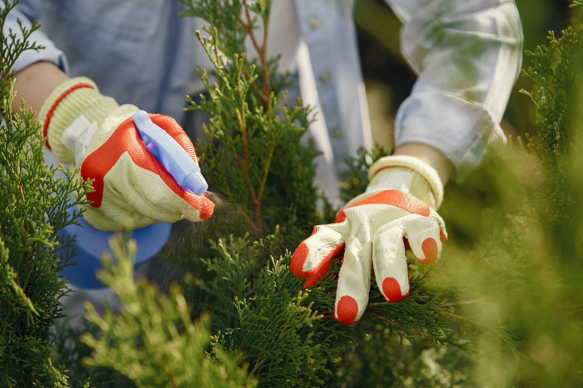 Just In Case Pest Control LLC — pest control in South Holland, IL