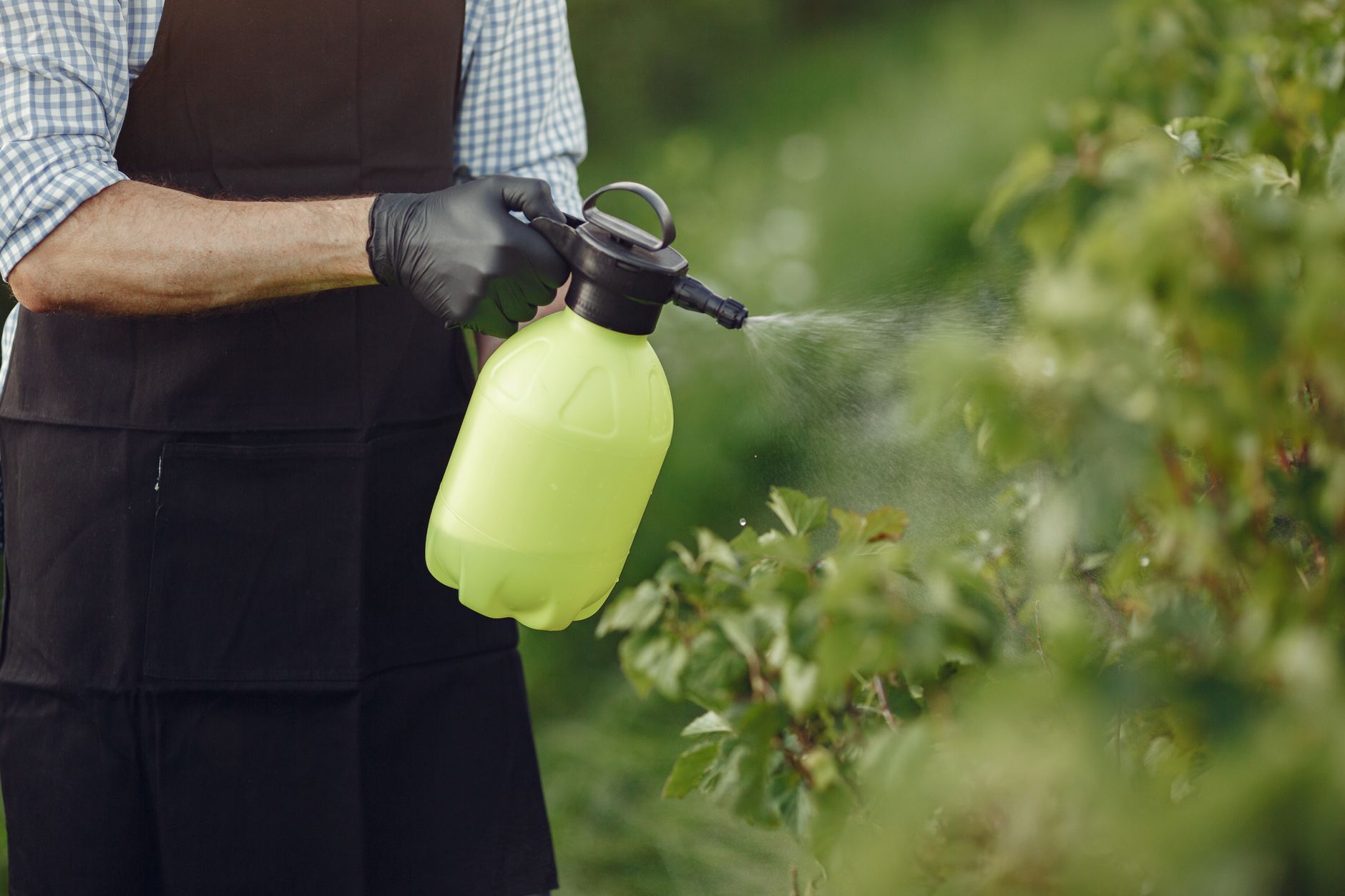 Strong Exterminating Co — pest control in New York, NY