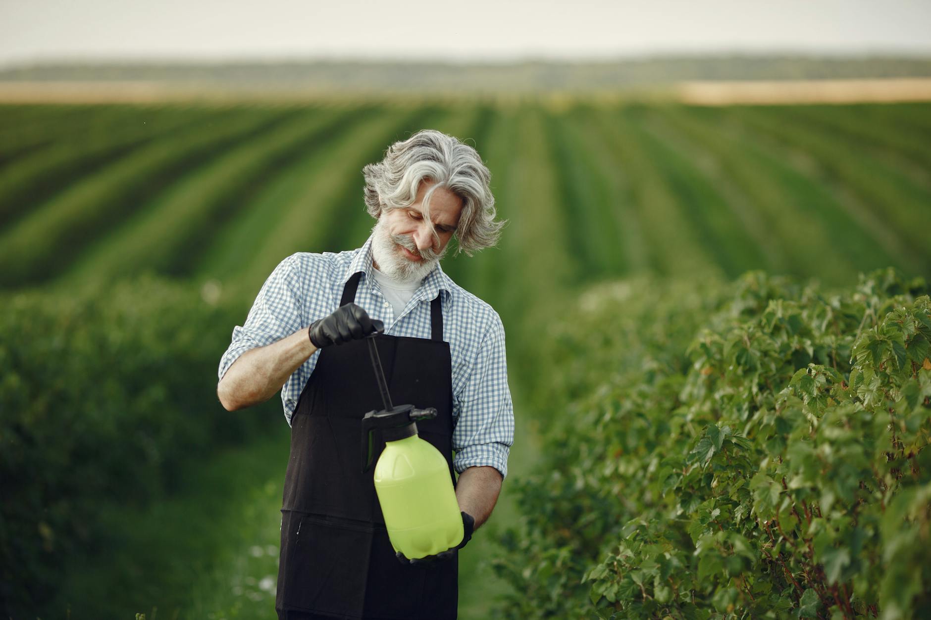 Charlie Pettis Pest Services — pest control in Clarksville, TN