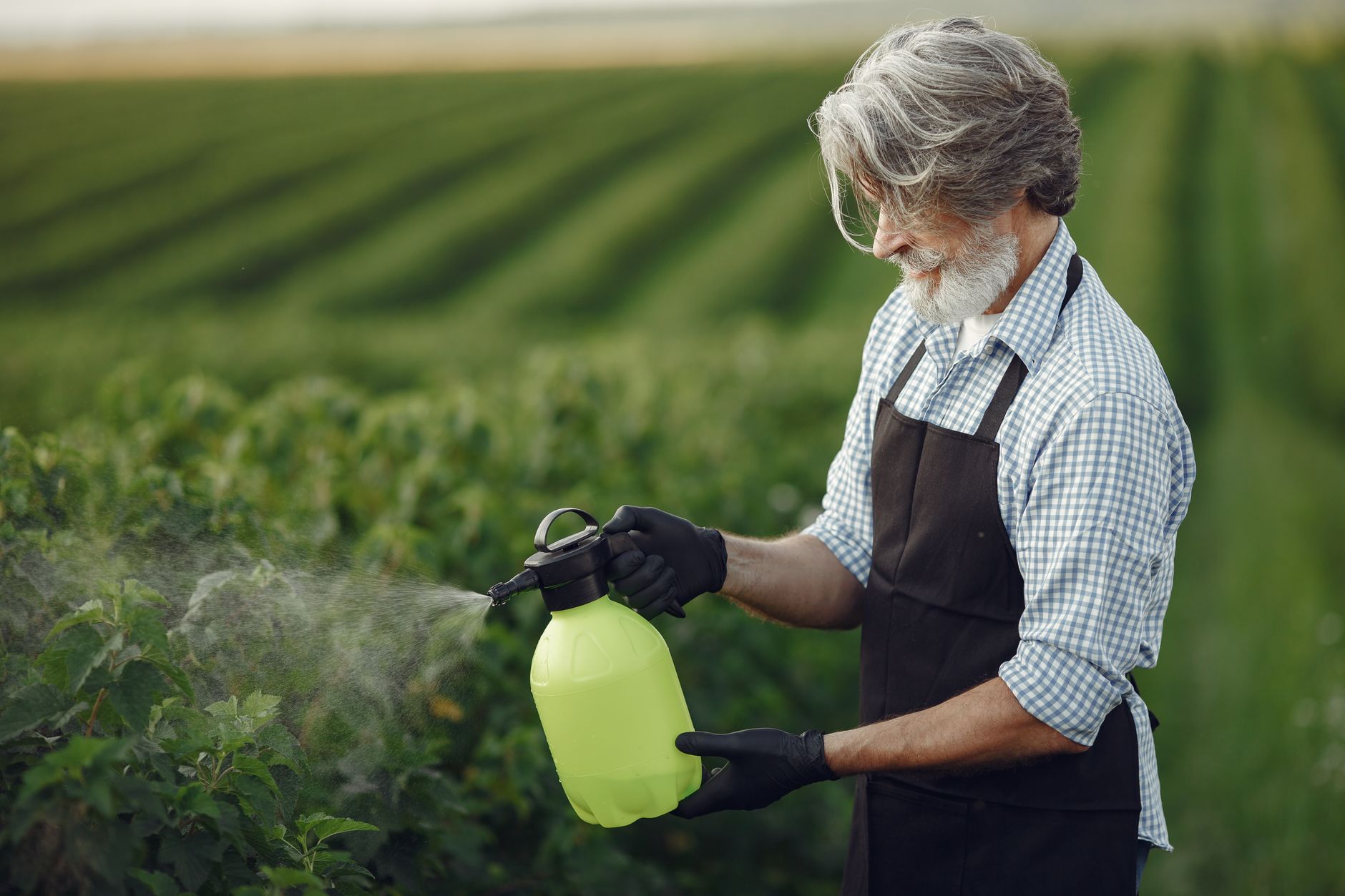 Pest Control service in New York City, NY