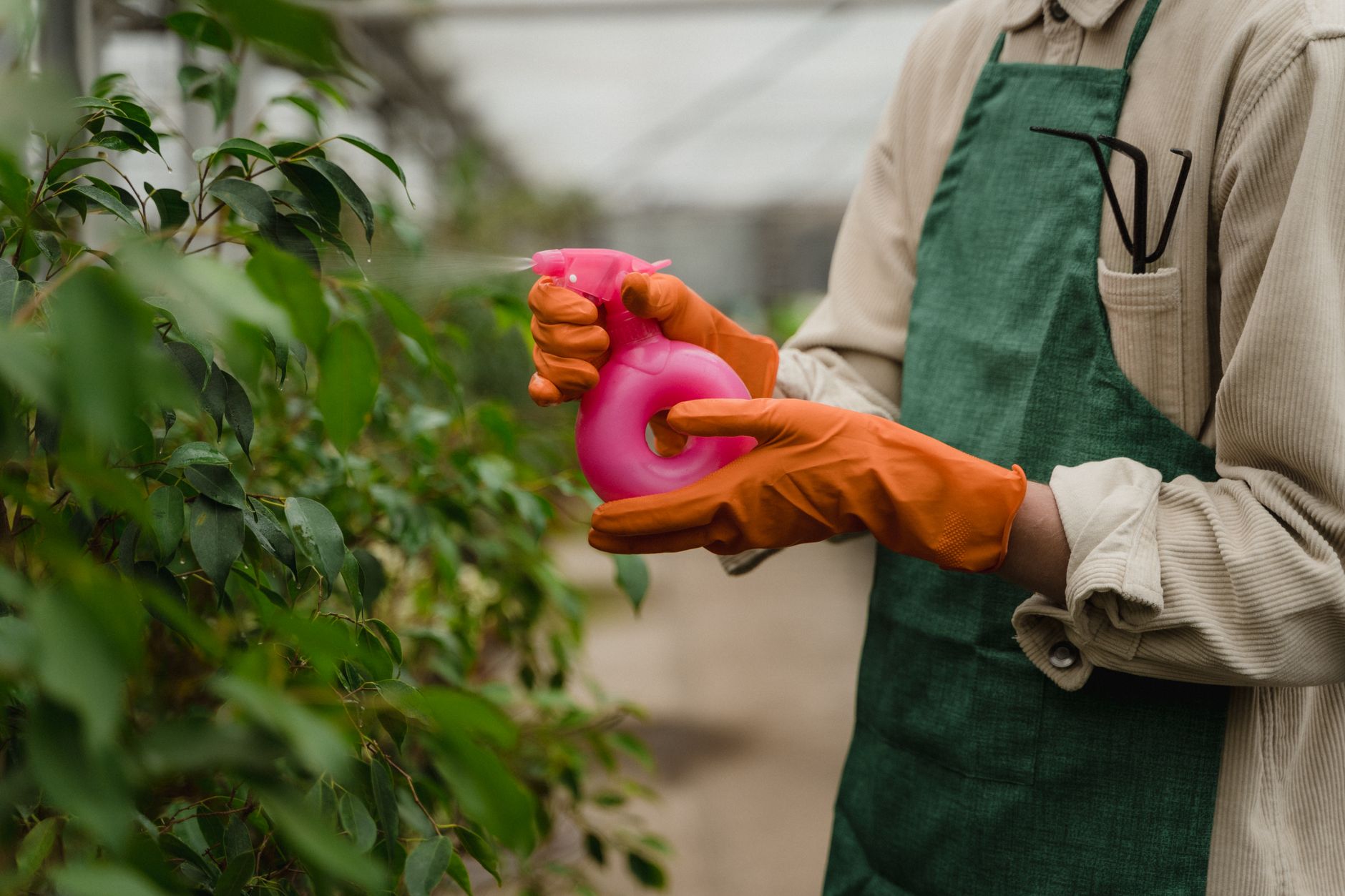 General pest control in Panama City Beach, FL