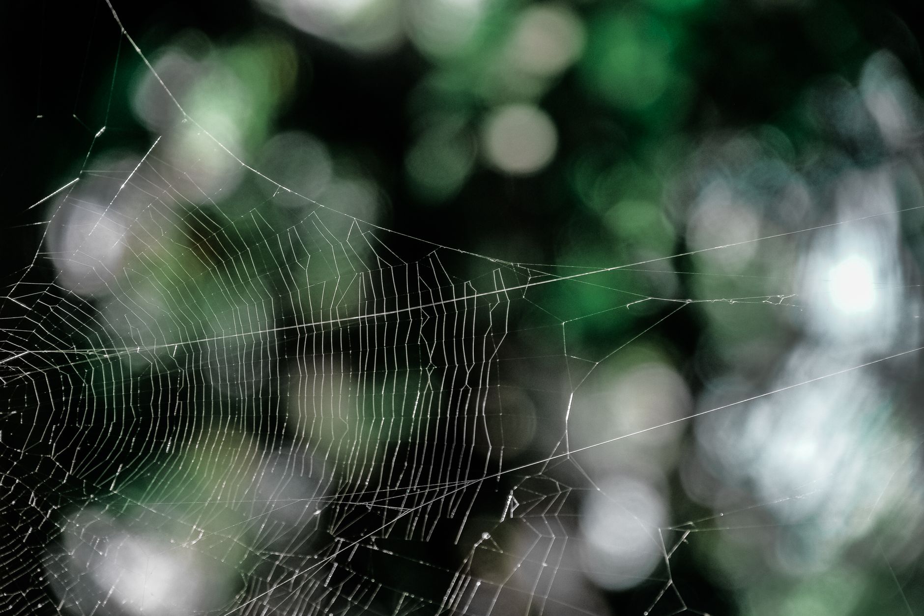 Pest Control service in Chagrin Falls, OH