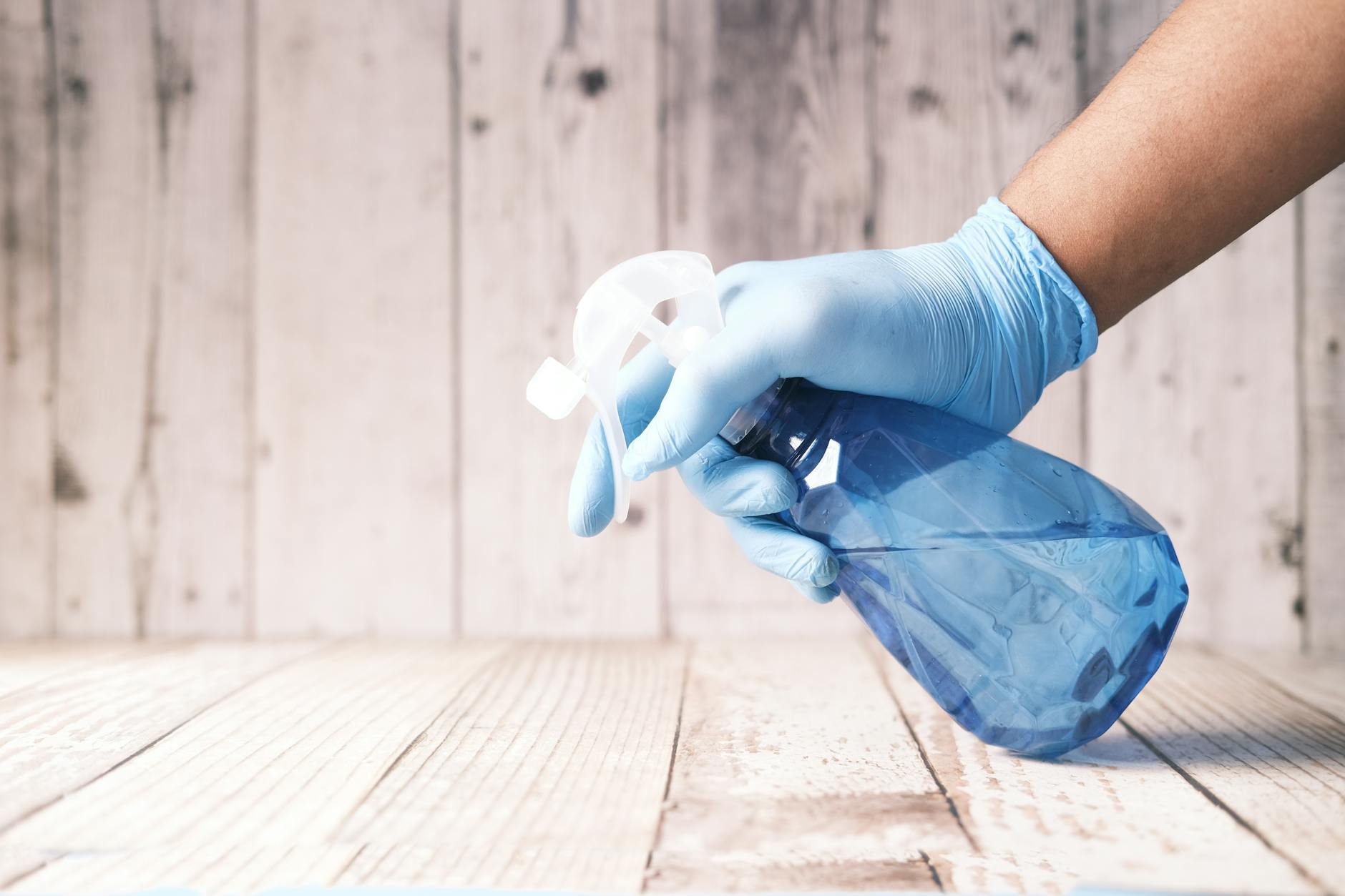 Pest Control service in New York
