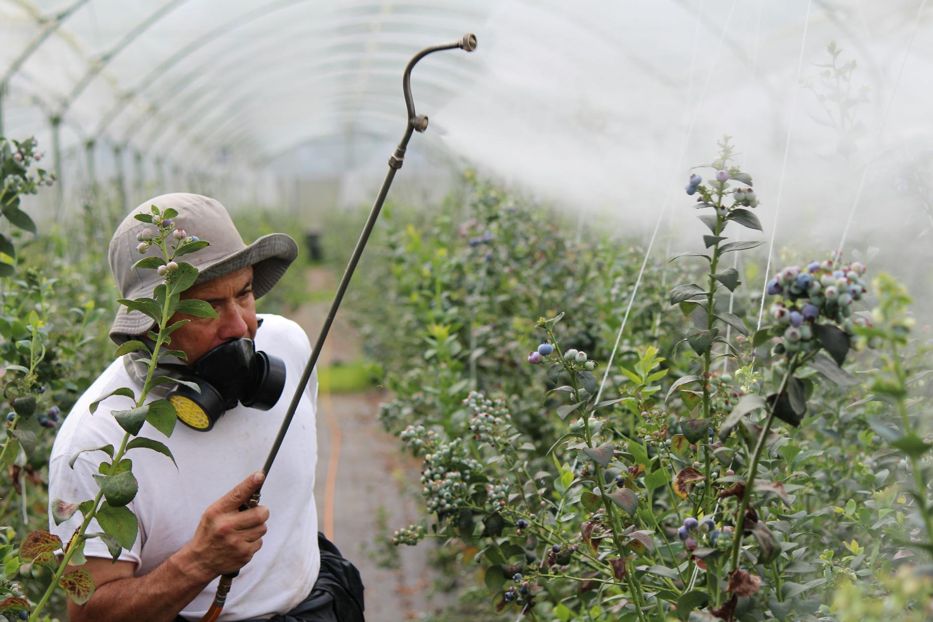 Adames Pest Solutions, Inc. — pest control in Wilkes-Barre, PA
